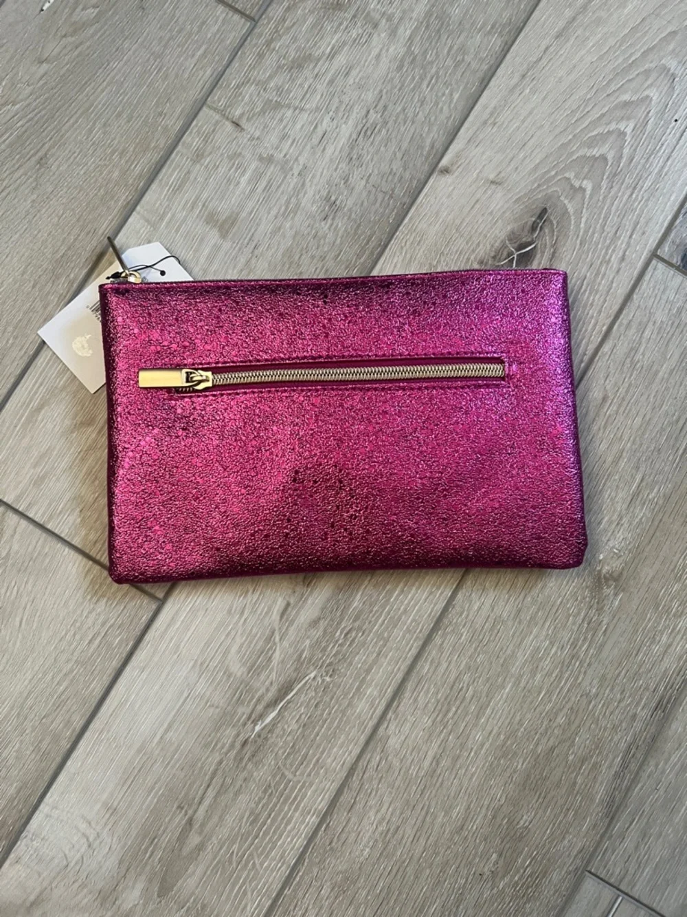 Metallic Cosmetic / Pencil Bags